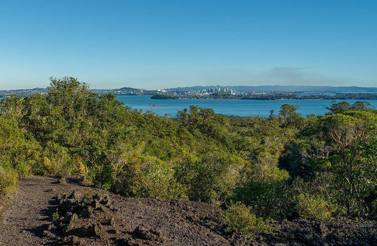 View over pōhutukawa forest across the Hauraki Gulf to Auckland’s Sky Tower and skyline.