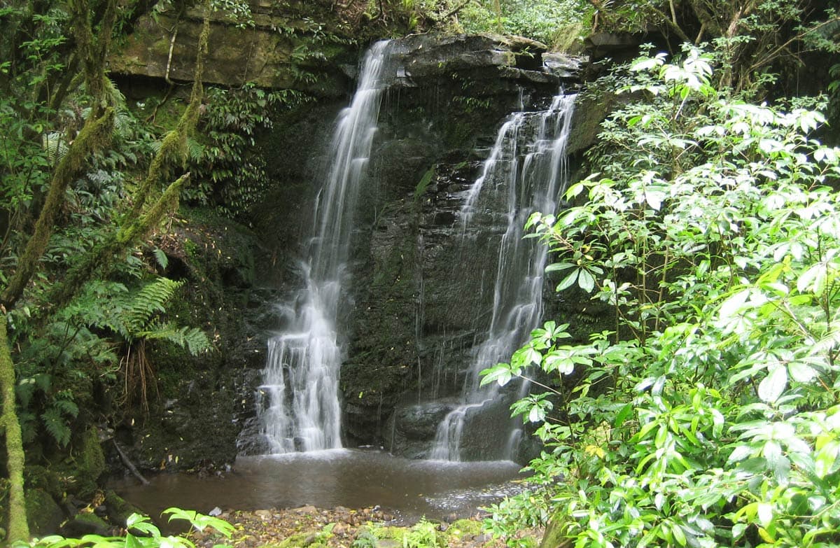 Matai Falls.