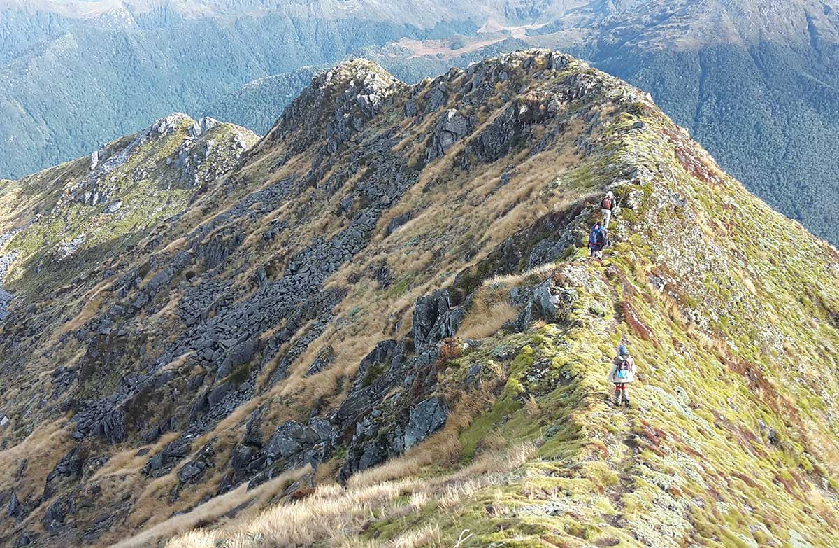 Ridge between Klondyke Spur and Klondyke Valley tracks.