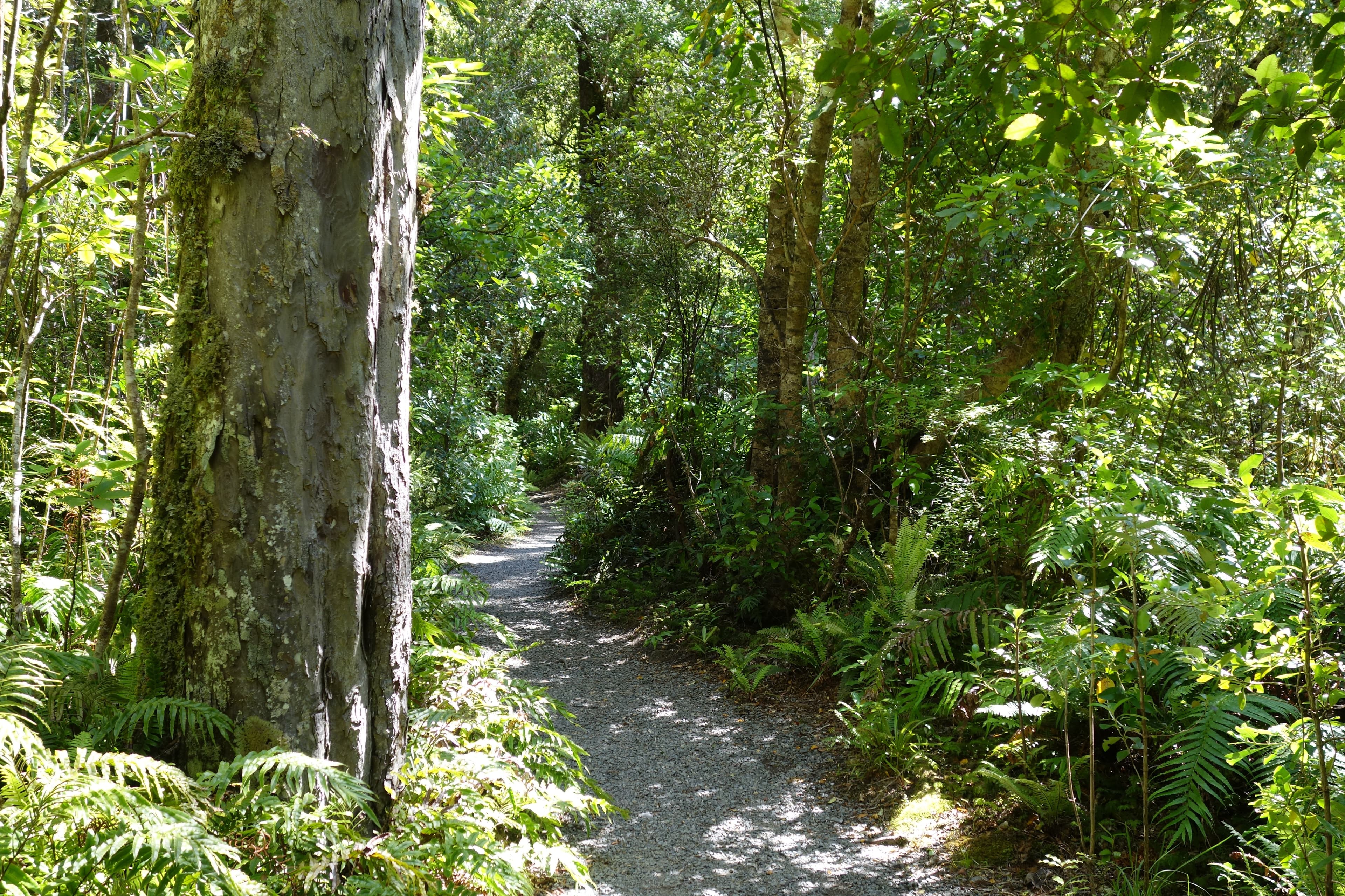 Donnelly Flat Loop Walk.