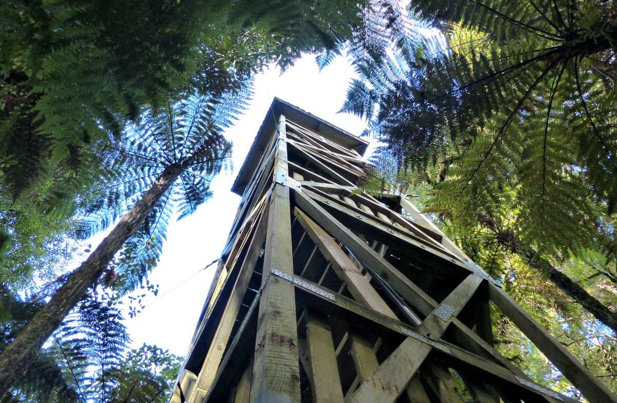 Looking up at the tower.