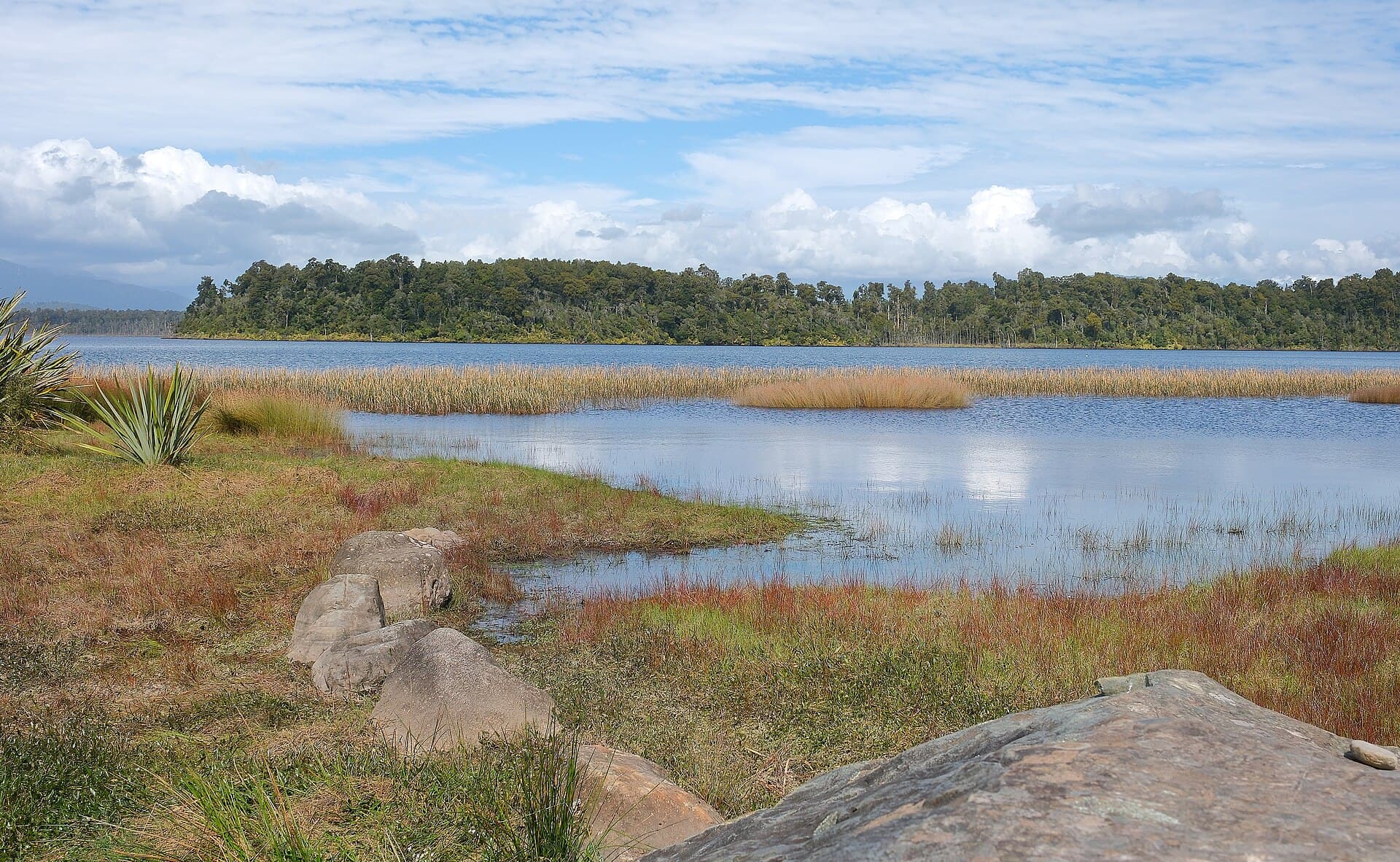 Reeds, grass and rocks on the shore of Lake Mahinapua at Shanghai Bay, with forest across the lake.