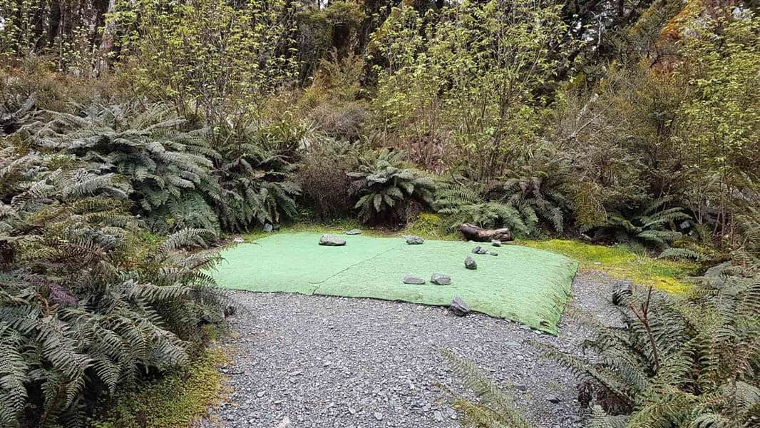 A tent pad among ferns and trees at Lake Mackenzie Campsite on the Routeburn Track.