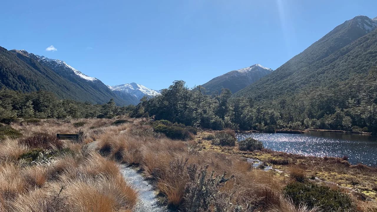 Alpine Nature Walk: Alpine path beside river and scrub.