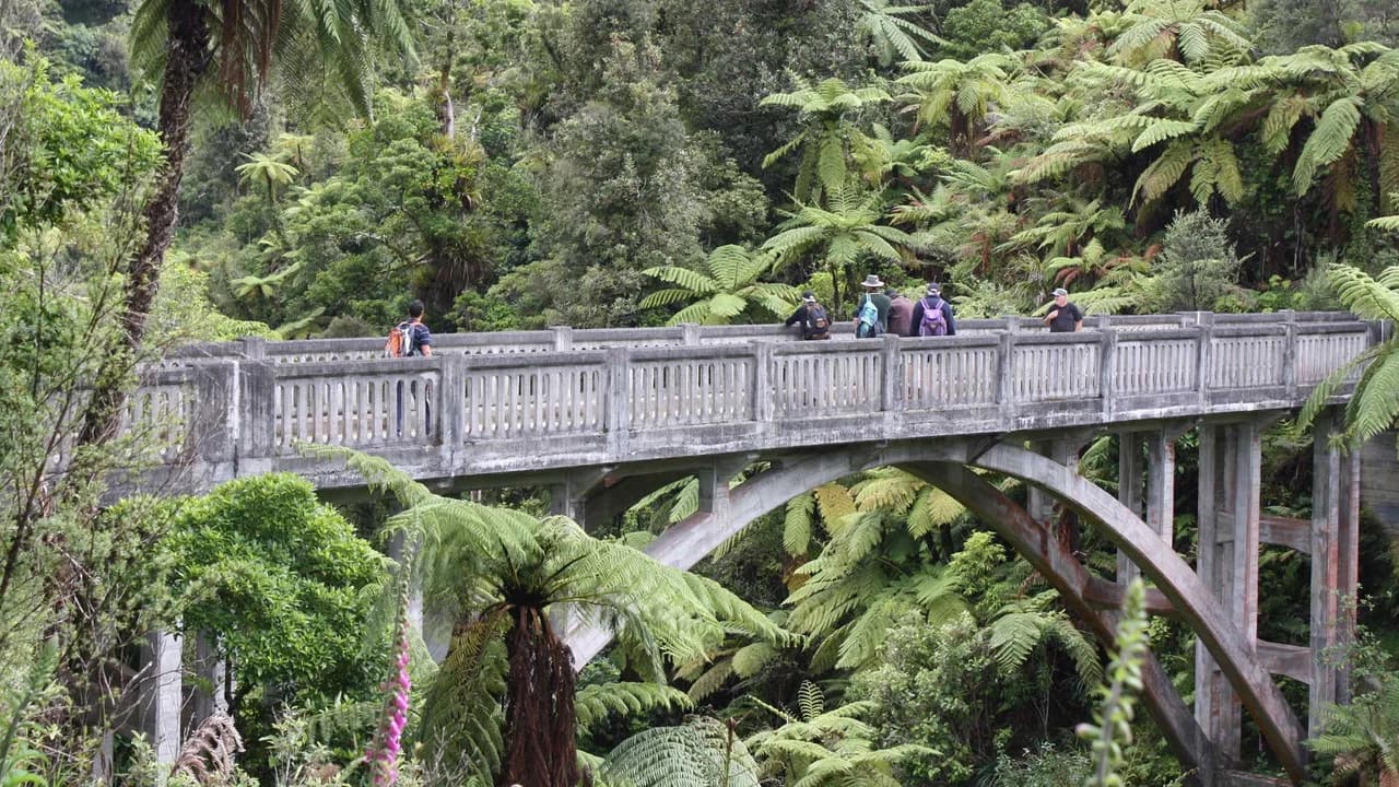 Bridge to Nowhere: Historic bridge surrounded by dense forest.