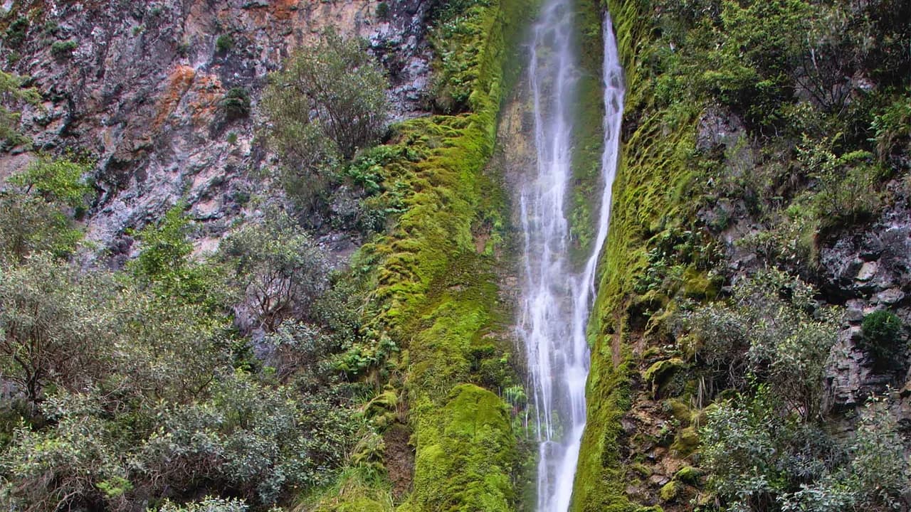 Close up view of the Dog Stream waterfall at the end of Waterfall Track: Dog Stream waterfall at the end of the track.