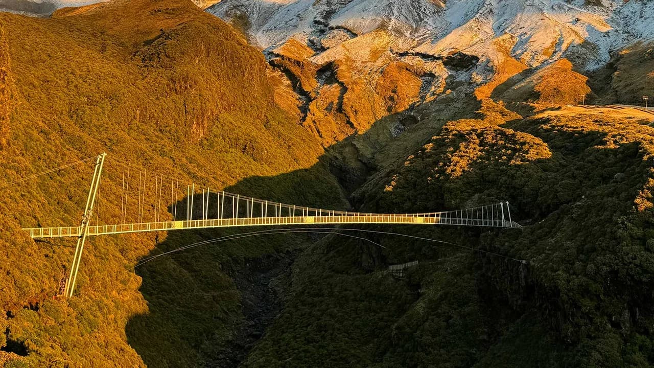 Manganui Gorge suspension bridge: Suspension bridge over Manganui Gorge.