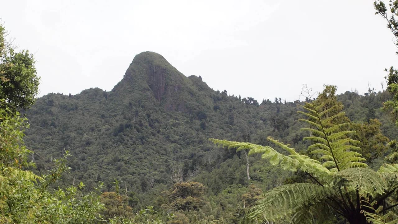 Knob of Titiraupenga peaking through the trees: Titiraupenga peak above surrounding trees; exact track position unconfirmed.