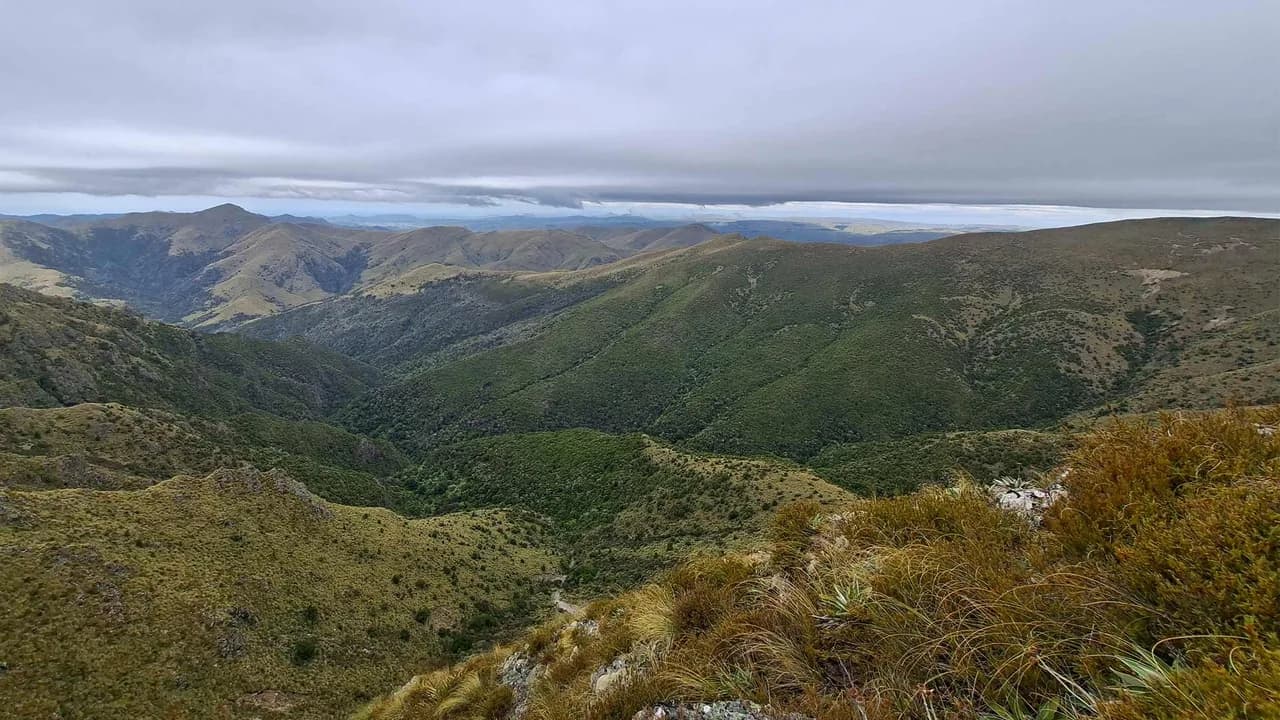 Mt Miserable Conical Peak views: Tussock ridges on the Mount Miserable Conical Peak route.