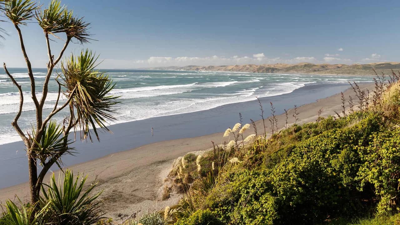 Ngarunui Beach: Ngarunui Beach at the track destination.