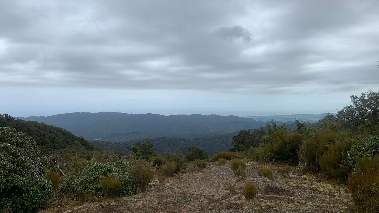 View from ridge on Pukeatua Track: View from the ridge on Pukeatua Track.