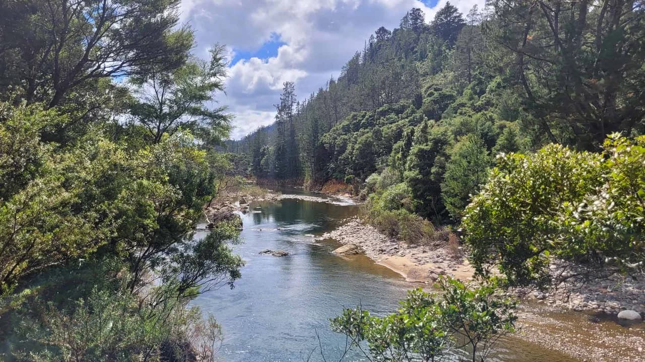 Puketui Walk: River beside Puketui Walk.