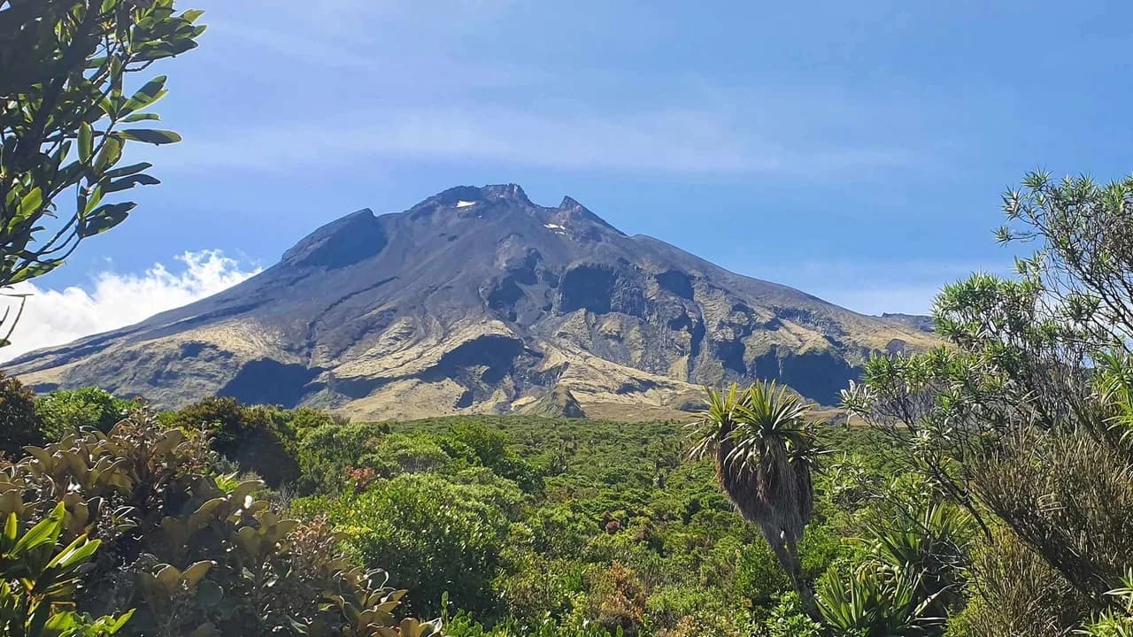 West Taranaki Maunga, Puniho Track: West Taranaki Maunga viewed from Puniho Track.