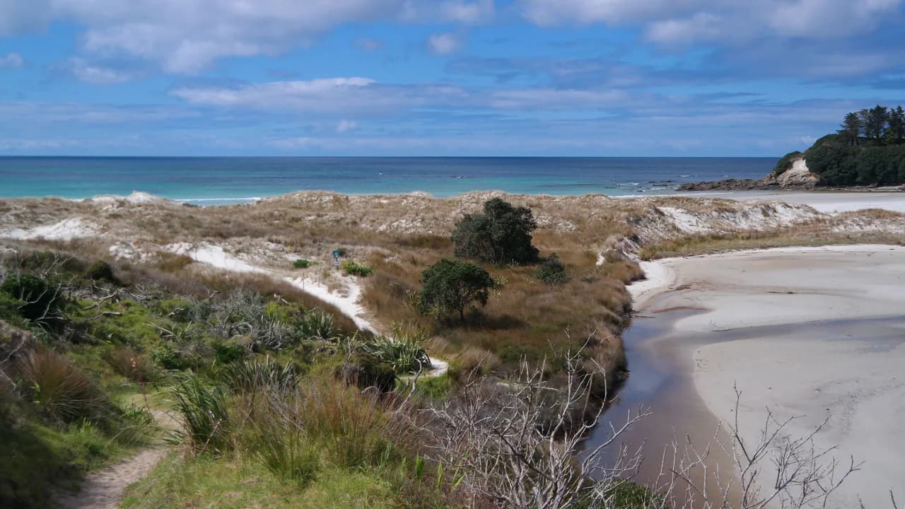 Rarawa Beach Walk: Beach and dunes on Rarawa Beach Walk.