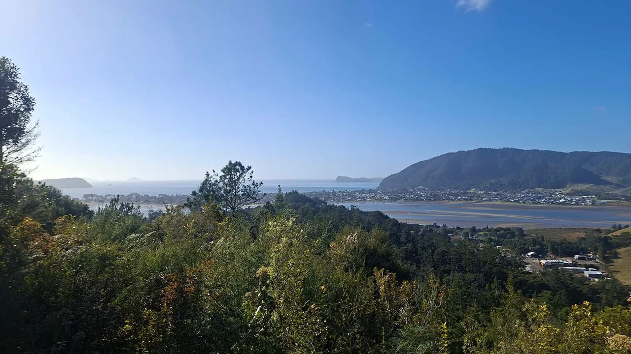 View of Tairua Harbour and Pauanui from the lookout on Red Bridge Walk: Harbour panorama from the Red Bridge Walk lookout.