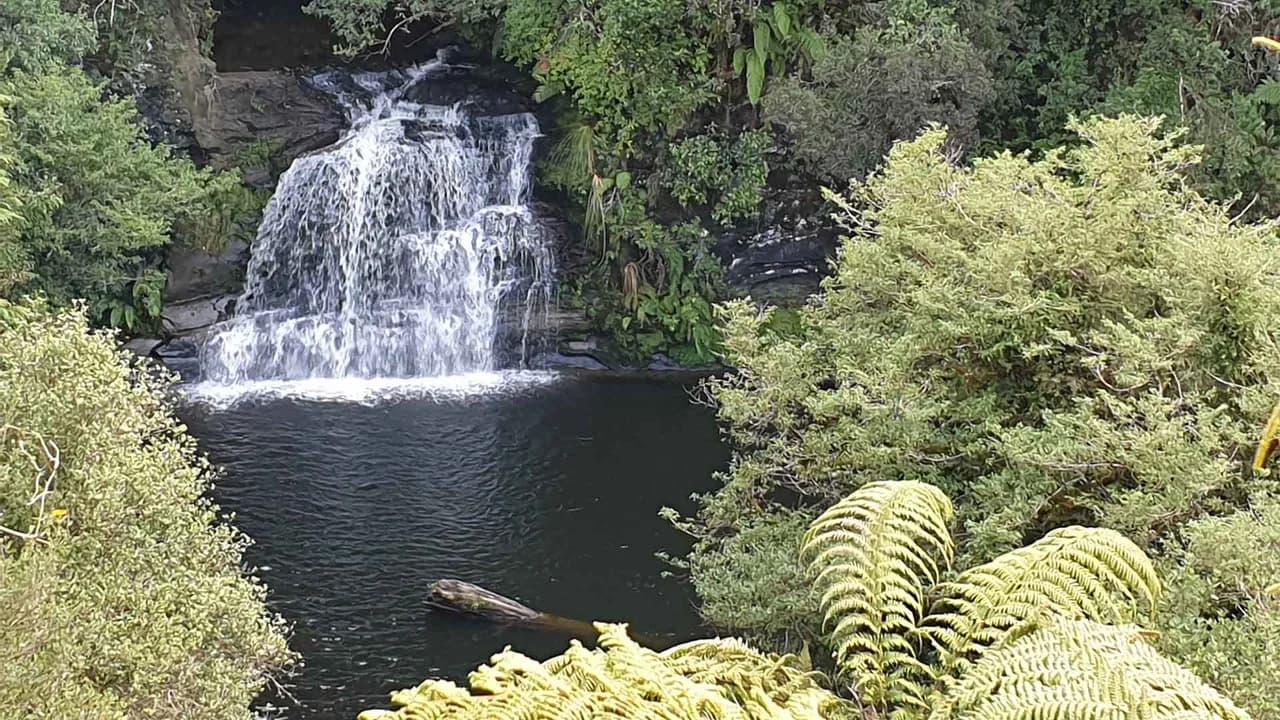 Rerekapa Falls: Rerekapa Falls and pool among ferns.