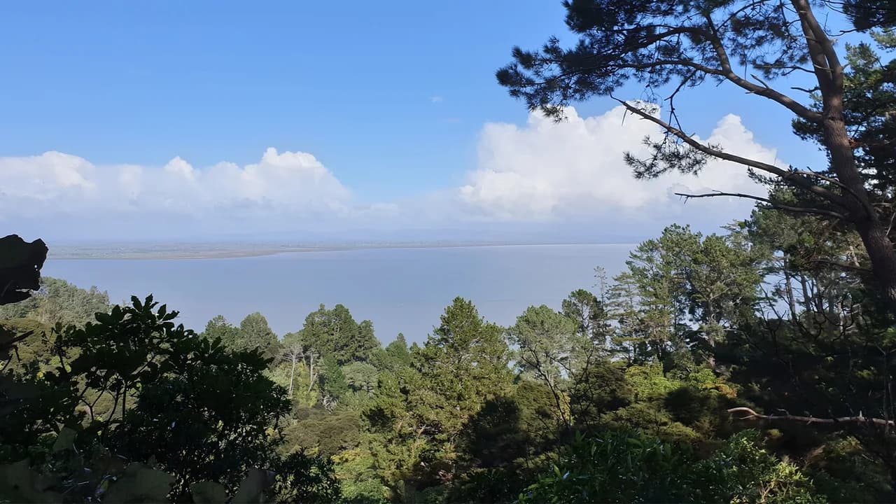 View from Rocky's Walk to Tinkers Gully track: View from Rockys Walk to Tinkers Gully, not verified on the Waiotahi section.