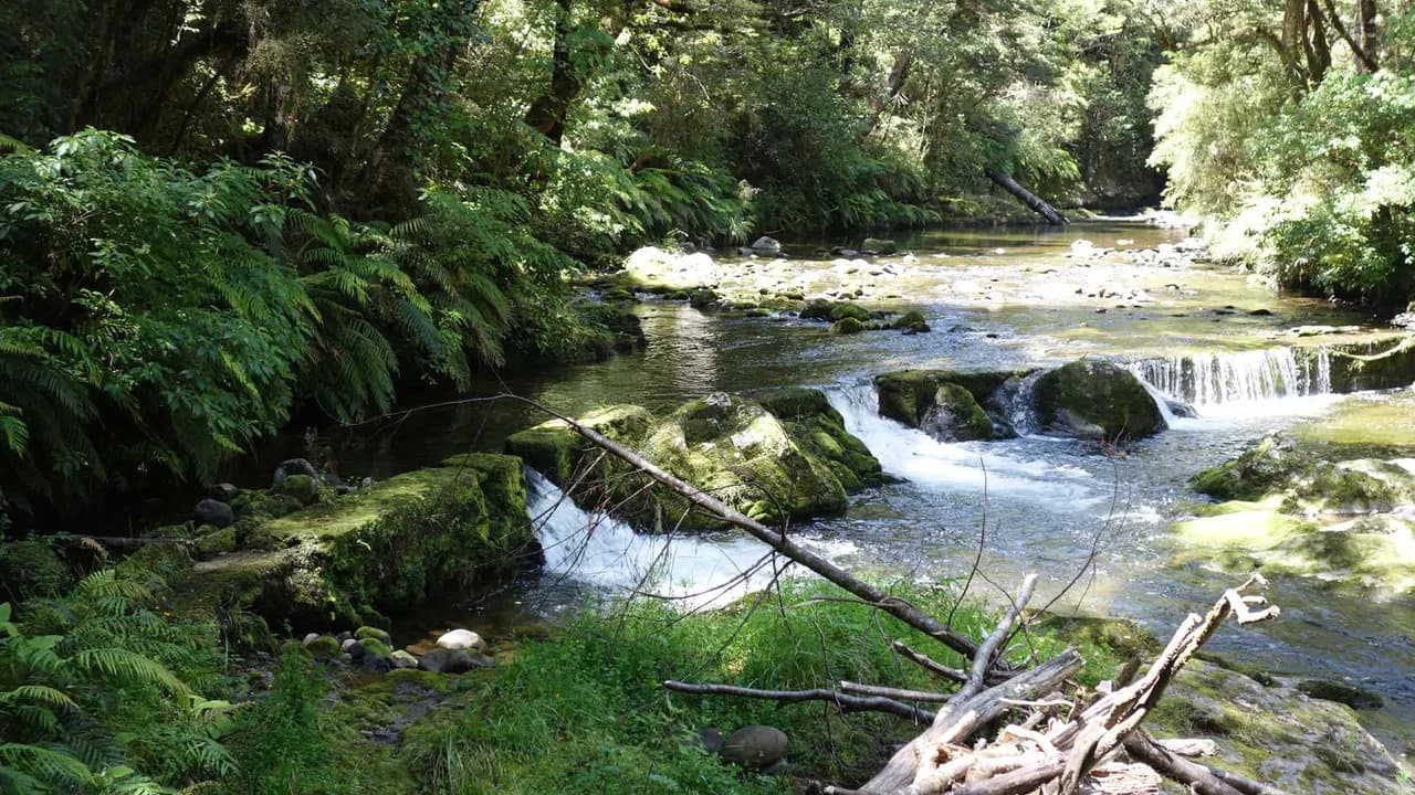 Six Mile Creek with old weir: Old weir on Six Mile Creek.