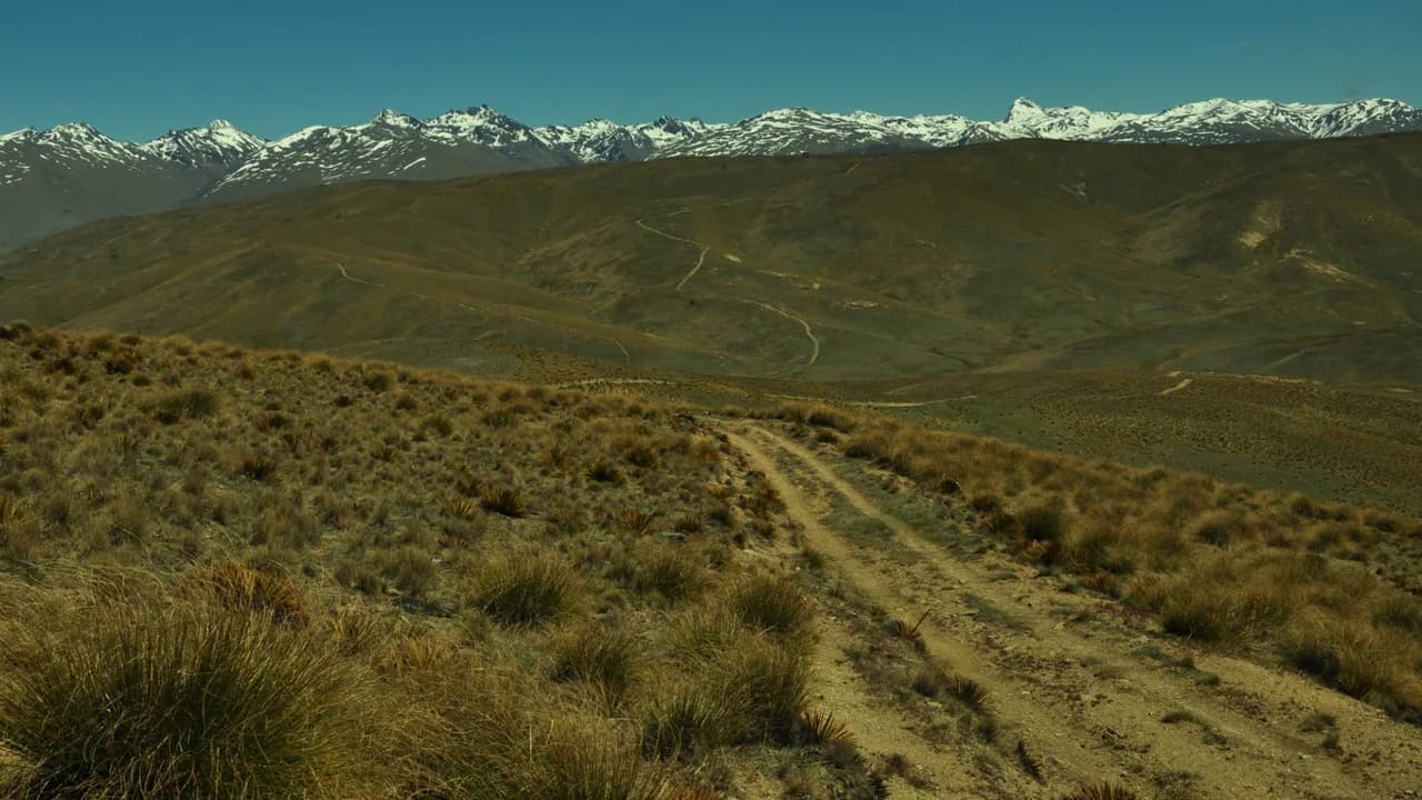 Slapjack Saddle Track: Open tussock trail at Slapjack Saddle.