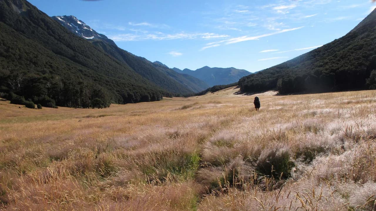 Ada Valley, St James Walkway: Walker in Ada Valley on St James Walkway.