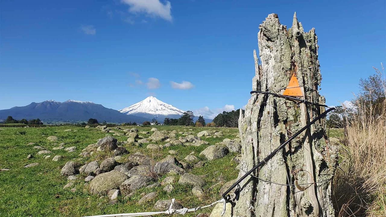 Example of some of the views on the walks: Track marker and mountain view on the grouped Stony River walks.