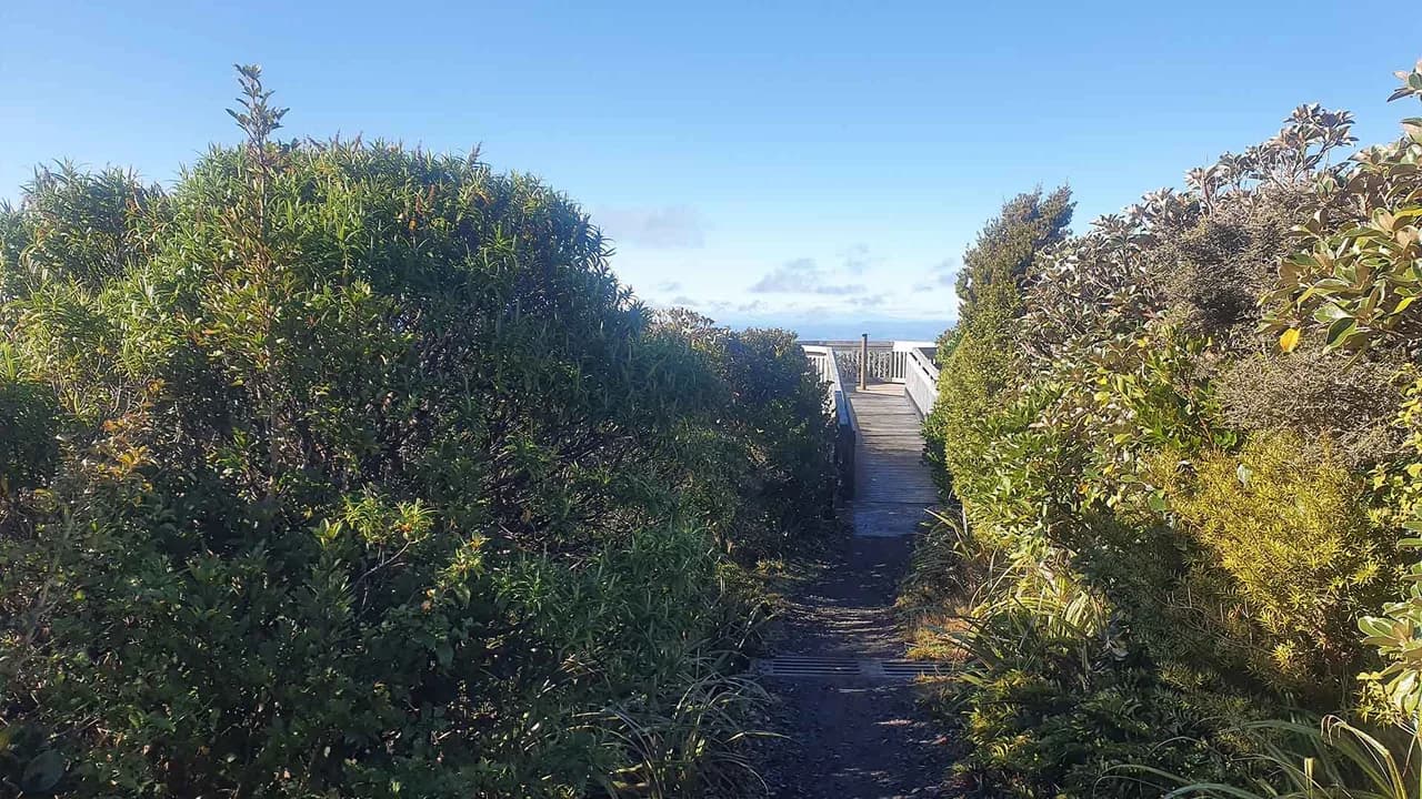 View up the path towards a lookout on Lookout Track: Path ascending to Stratford Plateau lookout.