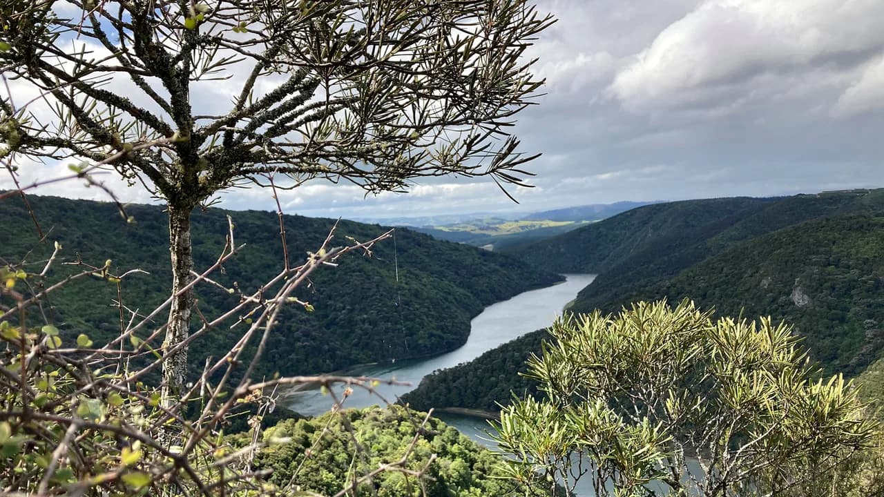 View from Taieri River Track: River gorge viewed from Taieri River Track.