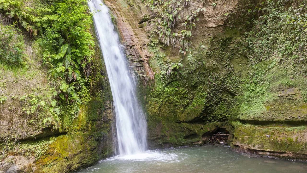 Te Ana Falls: Te Ana Falls within the grouped scenic-reserve tracks.