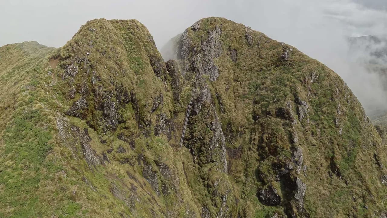 Ladder and the Tararua Peaks: Ladder on the Tararua Peaks route.
