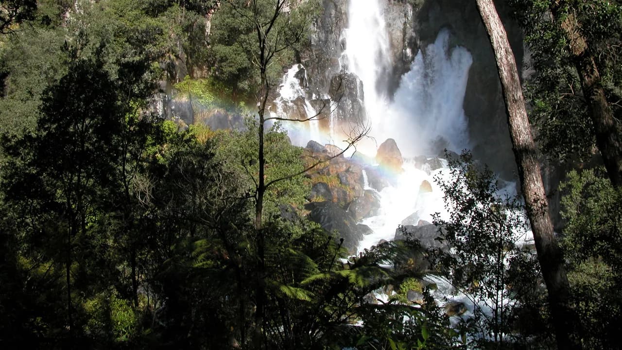 Tarawera Falls: Tarawera Falls viewed through forest.