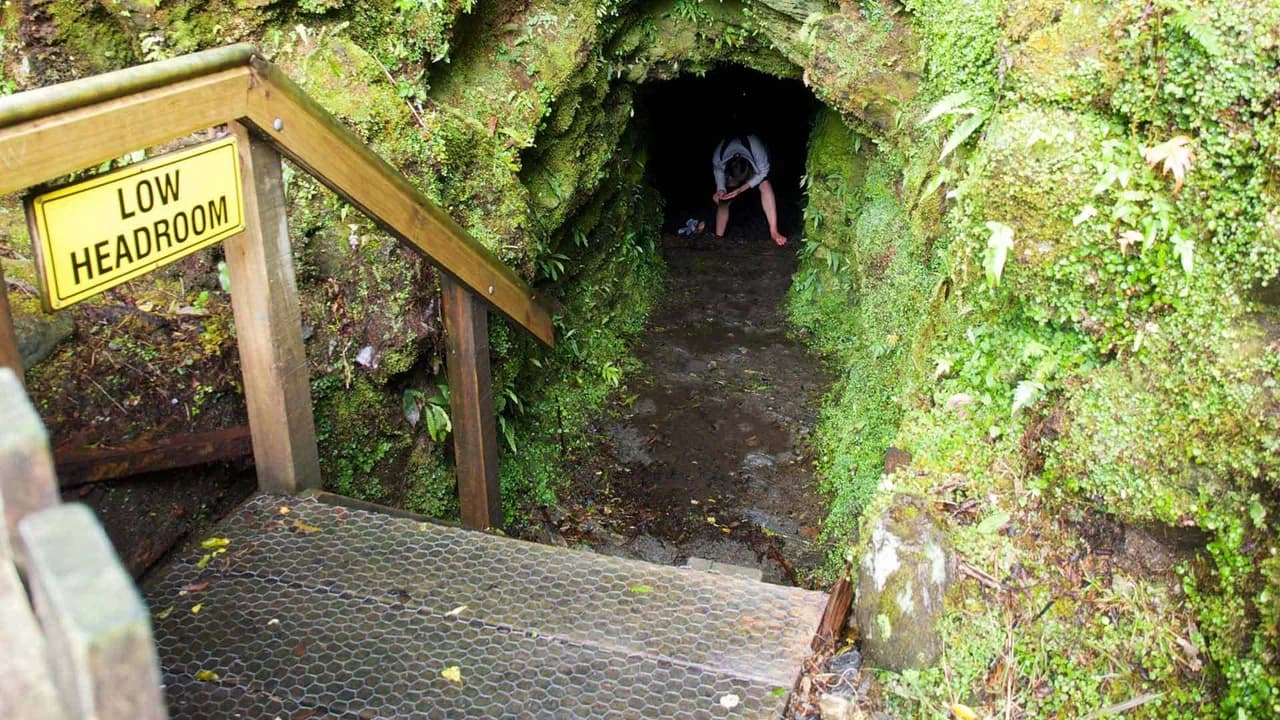 Fossicking on the Tatare Tunnels Walk: Signed tunnel entrance on Tatare Tunnels Walk.