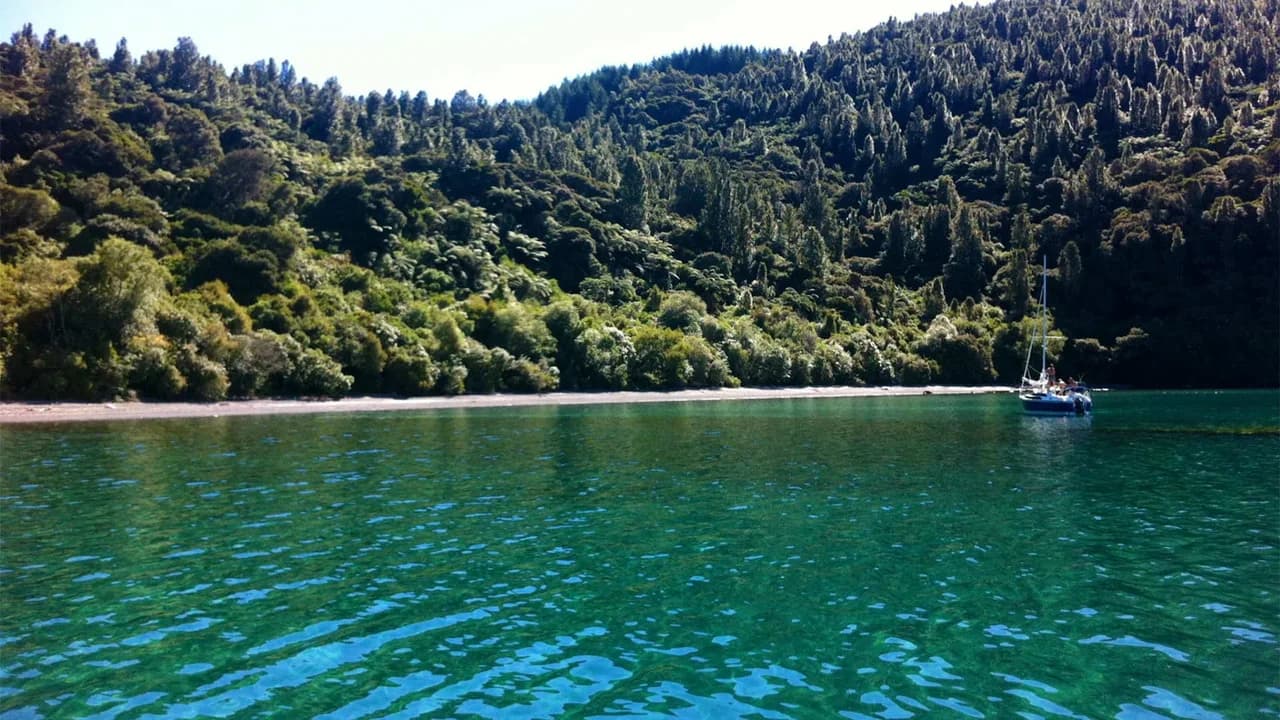 Te Hapua Bay on the western shores of Lake Taupo: Te Hapua Bay lakefront viewed from water, not the walking track.