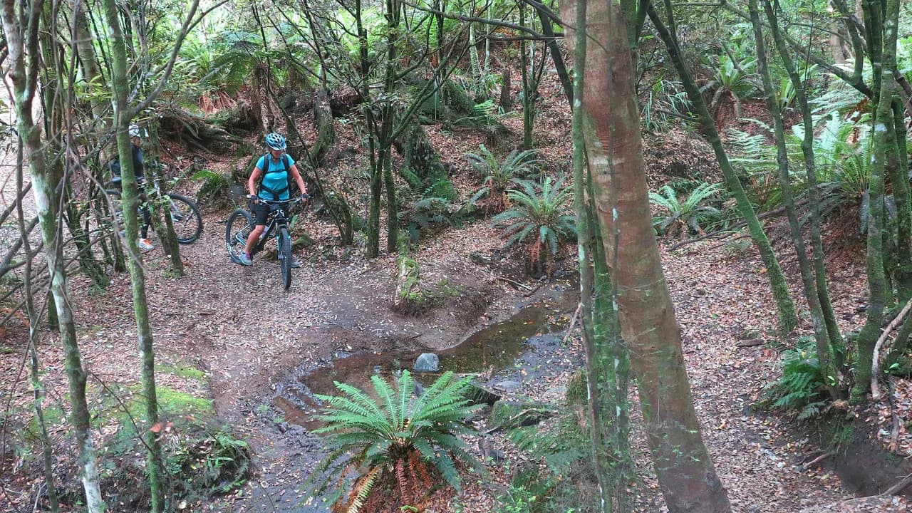 Riders crossing one of the streams on the Tree Trunk Gorge track: Cyclists crossing a stream on Tree Trunk Gorge Track.
