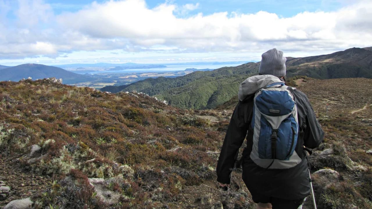 On the Urchin-Umukarikari track: Walker on the Urchin Umukarikari ridge.