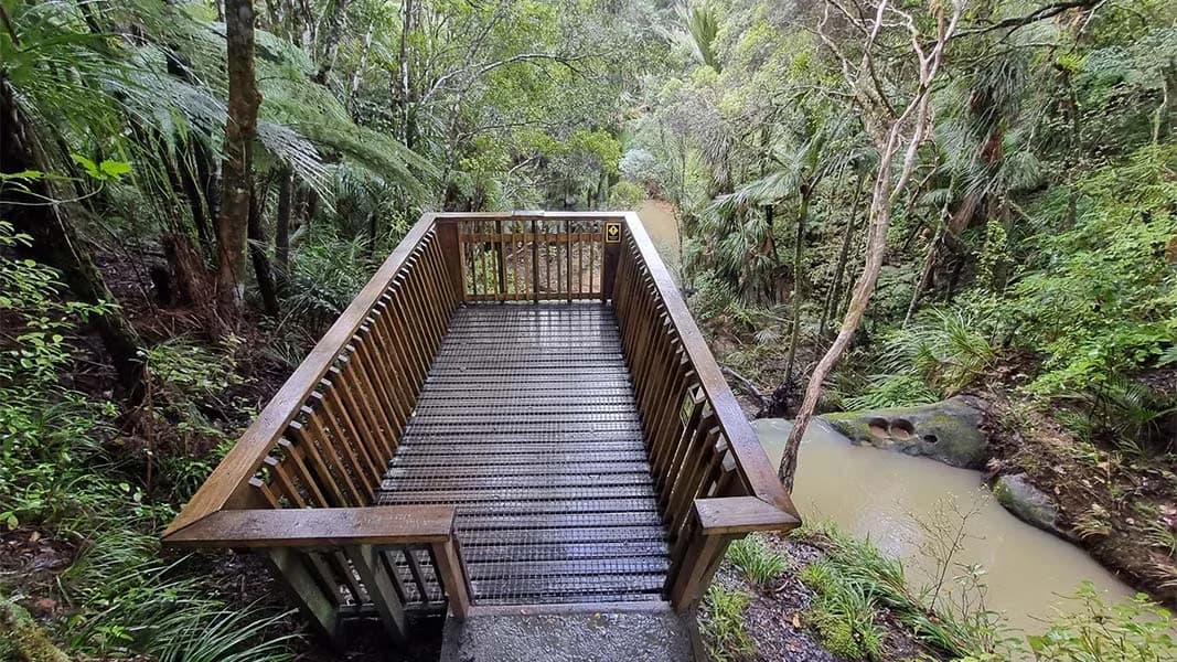 Waterfall Track: Wooden viewing platform above a forest stream.