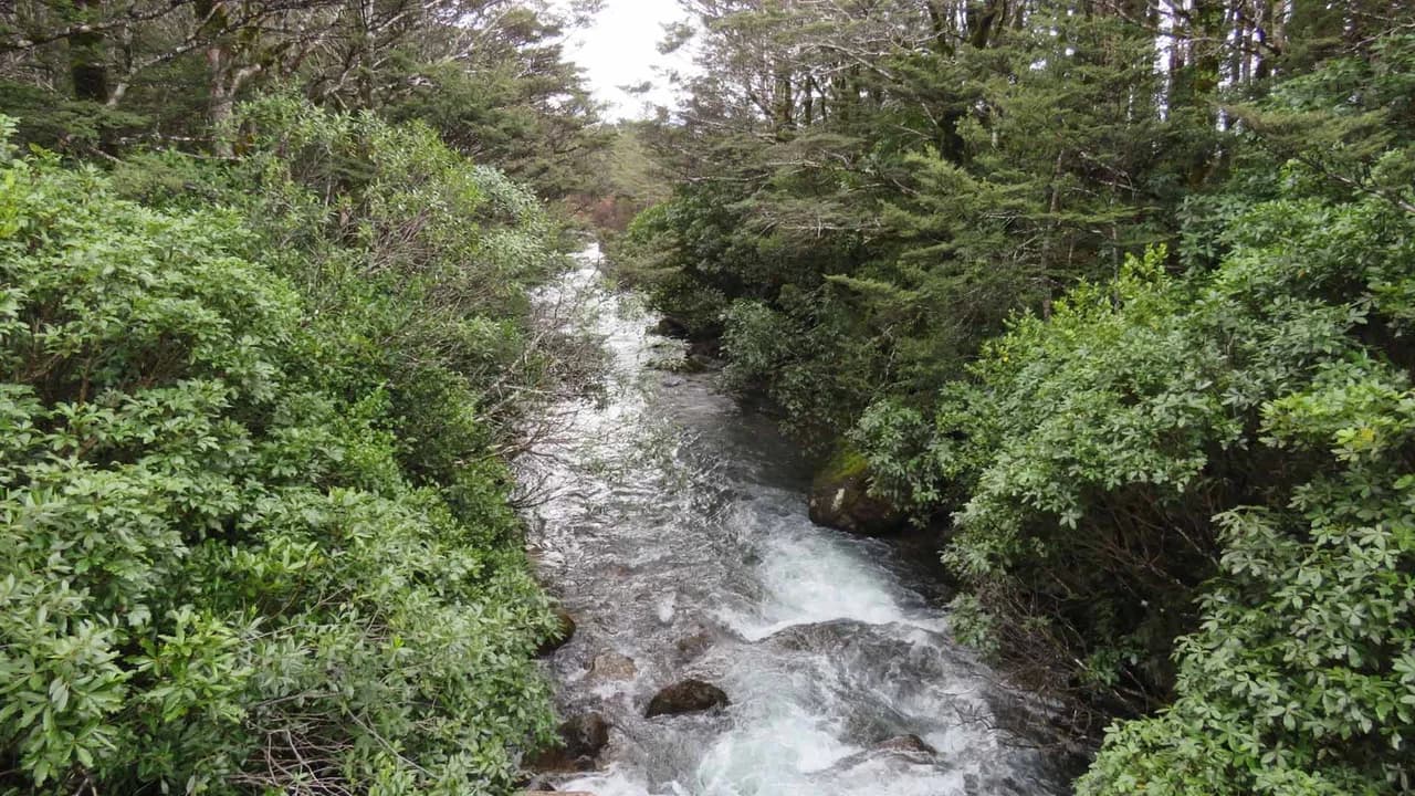 Whakapapanui Stream.: Whakapapanui Stream along the walking route.