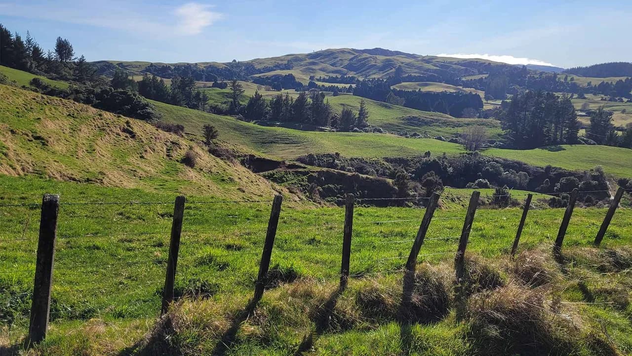 View from the lookout at the top of the Punga track, William Hartree: Farmland panorama from Punga Track lookout in the reserve.