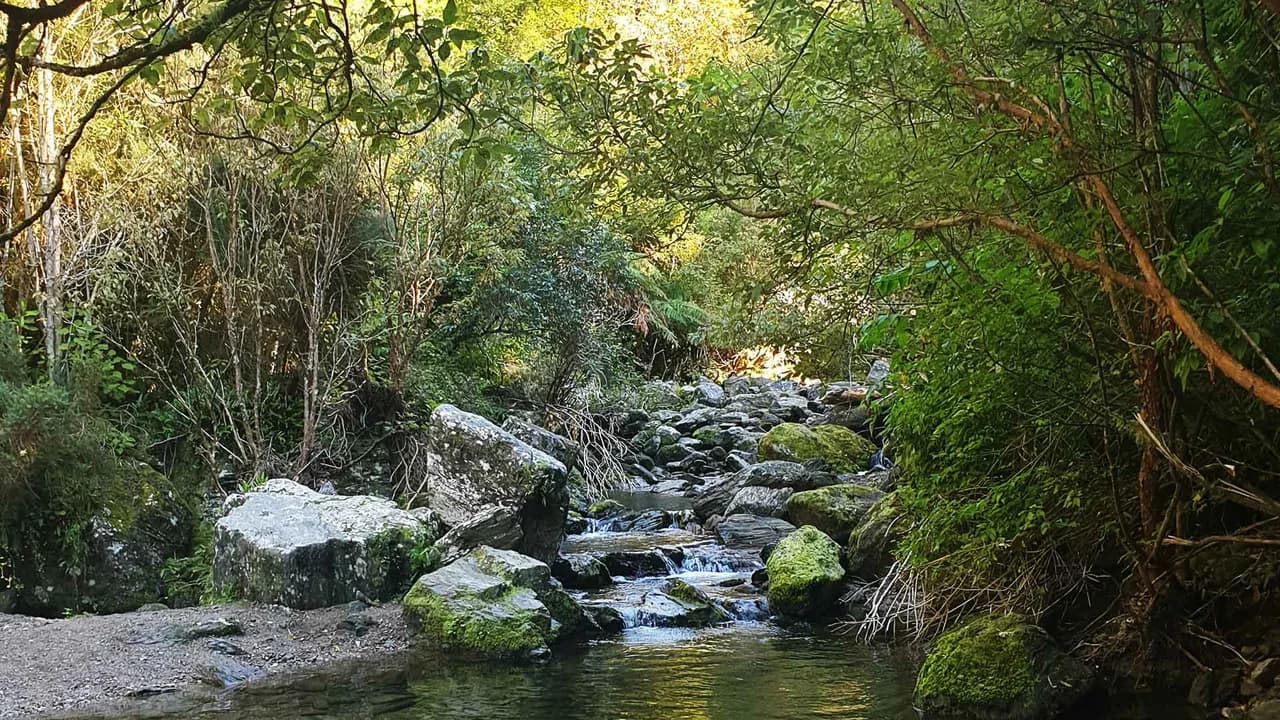 Lee Creek, Woodside Glen Reserve: Lee Creek in Woodside Glen Reserve.