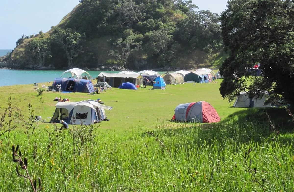 Multiple pitched tents on the grassy coastal campground at Waikahoa Bay in Mimiwhangata.